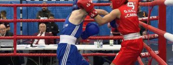 Ring B – PZO Boxing Day 8 (11/12/2021) Gliwice