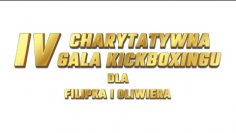 Na żywo: IV Charytatywna Gala Sportów Walki dla Filipka i Oliwiera